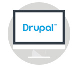 Drupal Websites