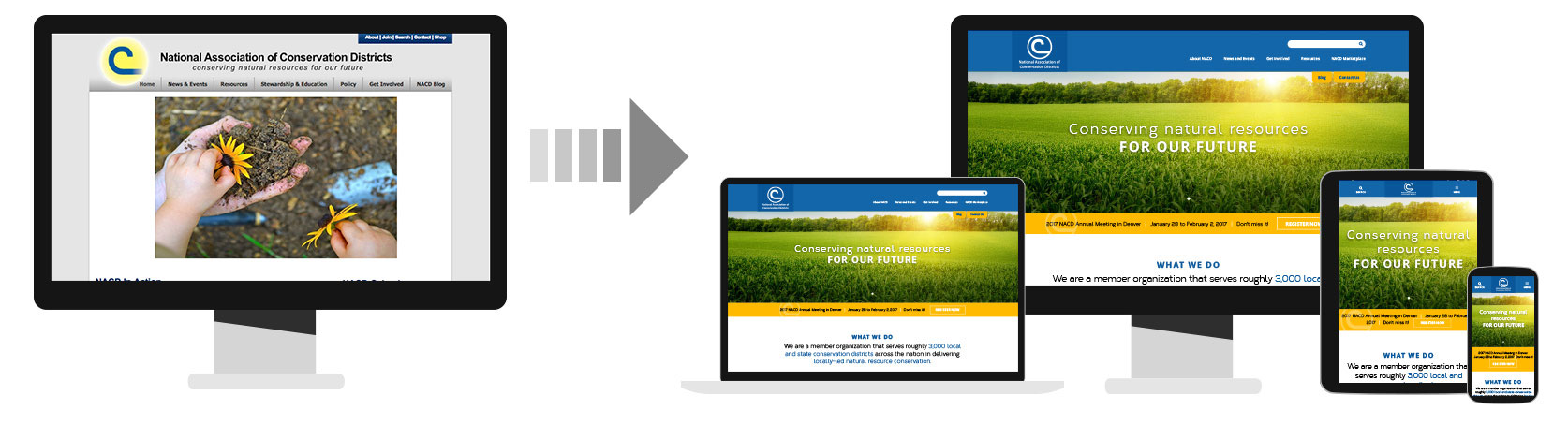 professional website redesign