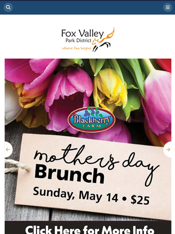 Fox Valley Park District iPad Web Design
